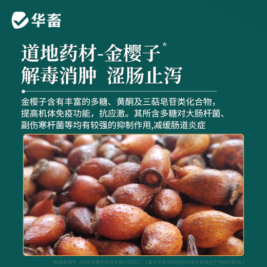 【社群专享】卵健1kg 清热除湿解毒消肿 输卵管炎肠炎等 商品图3