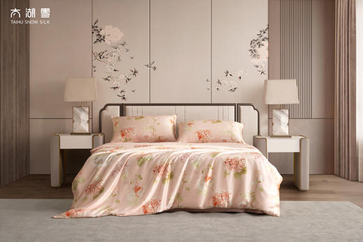 太湖雪丝享真丝组合被 商品图1