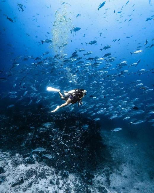 泰国普吉斯米兰海星快艇一日游【浮潜|往返接送】 商品图0