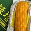 绿塔~甜糯软香玉米 商品缩略图7