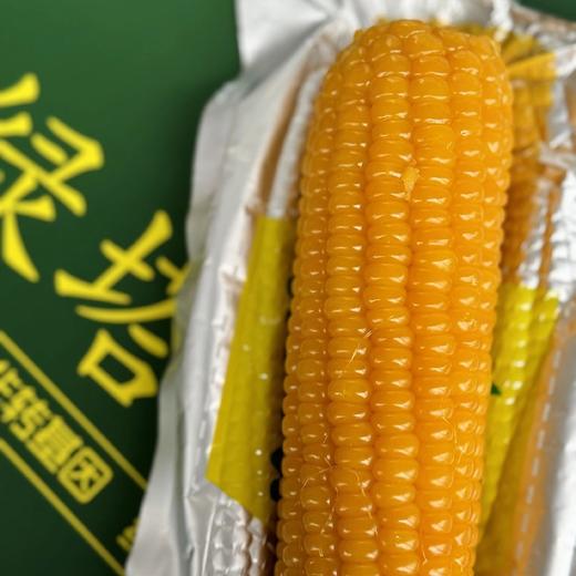 绿塔~甜糯软香玉米 商品图7