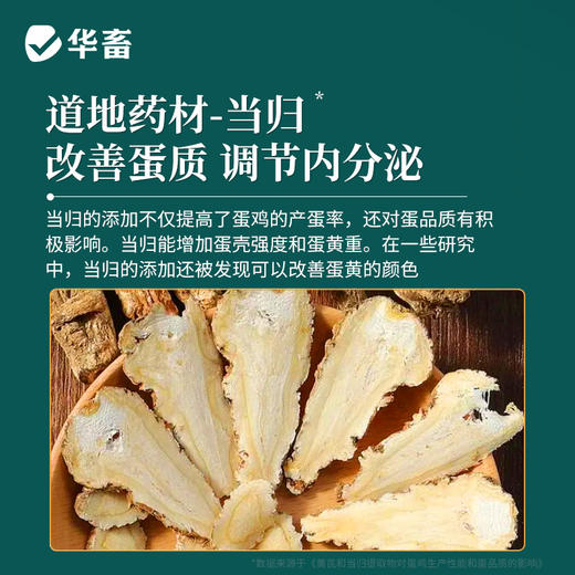 【社群专享】卵健1kg 清热除湿解毒消肿 输卵管炎肠炎等 商品图5