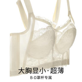 楼台幽雾 文胸 大胸显小防下垂收副乳内衣女轻薄透气无钢圈调整型内衣文胸