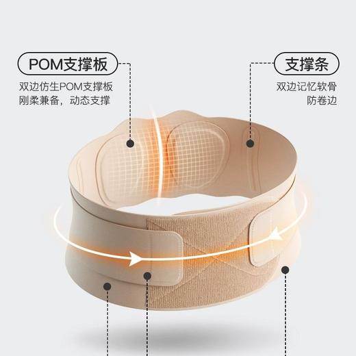 【林栖好物】运动健身护腰带医用级带腰椎间盘夏季深蹲要肌劳损腰托暖肚子腰围 商品图3