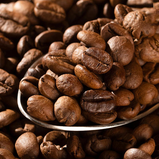 【冷热皆宜！萃取原始醇香】鲜萃咖啡液/即喝即溶，随心搭配，轻松好喝，0脂不单独添加蔗糖鲜萃萃取液，独立圆角小条装便捷即饮L 商品图1