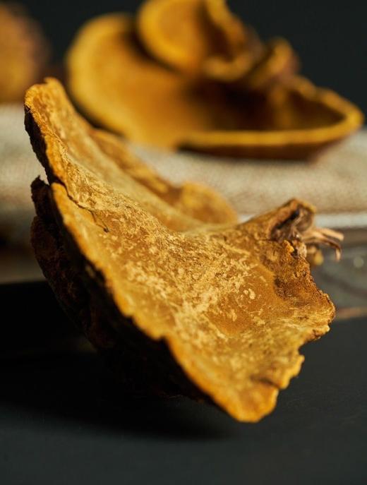 【野生桑树桑黄•西藏察隅】#顺丰  源自西藏原始森林  质地紧密  面如黄金 商品图1