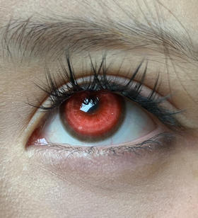 Recolook半年抛美瞳 锦鲤之红 14.5mm