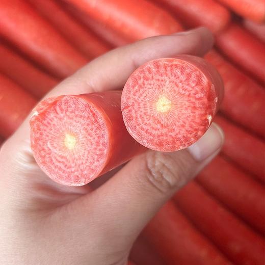 沙地水果胡萝卜【约2斤】 商品图6