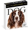 Dog Page-A-Day Gallery Calendar 2025 / 2025画廊台历：狗 商品缩略图0