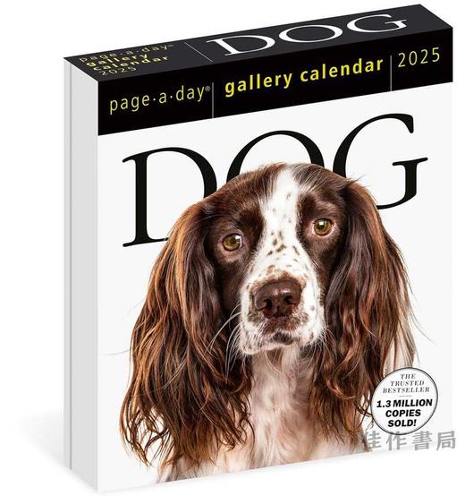 Dog Page-A-Day Gallery Calendar 2025 / 2025画廊台历：狗 商品图0