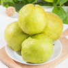 s孔雀金枝 新疆金枝玉露梨 新疆产区 脆甜多汁 果肉细腻 商品缩略图1