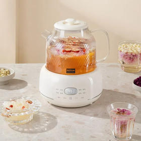 北欧沃朗养生壶1.2L|秋冬滋补一键搞定，炖煮/甜品/花茶…安全易清洗