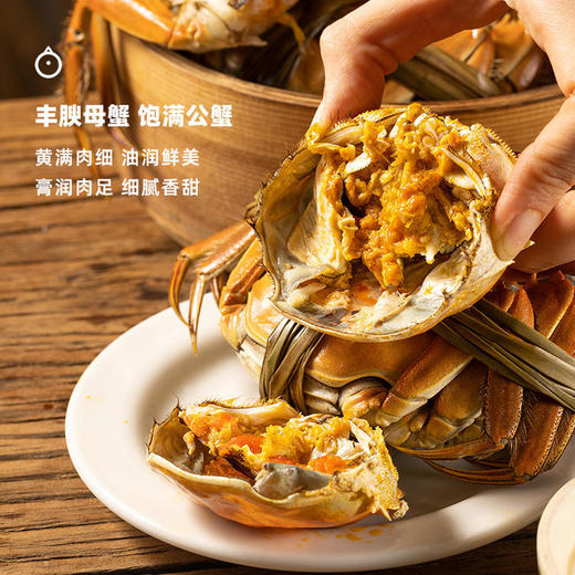 企鹅市集|江苏苏州大闸蟹家庭装 出口级别活蟹 膏润肉足 多规格可选 商品图2