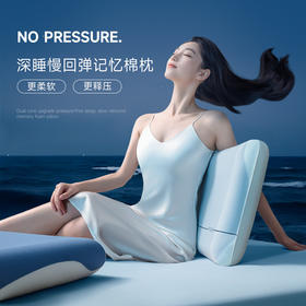 【双十一特惠】赠送全棉枕套 亚朵酒店同款深睡枕Pro护颈枕 记忆棉枕侧睡护颈椎 助睡眠枕头 冬季枕芯 零压慢回弹 记忆绵枕芯+冰丝内套+全棉绗缝两用枕套