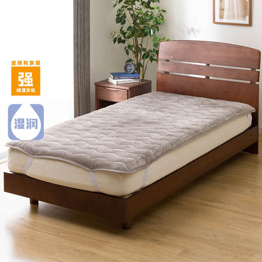 双面床垫 强吸湿发热MO 商品图0
