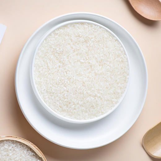 东北五常甄选长粒香大米500克 商品图2