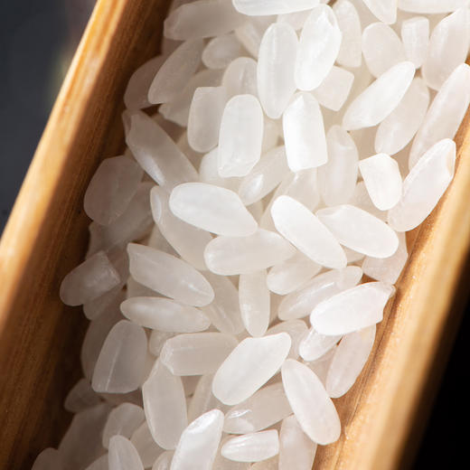 东北五常甄选长粒香大米500克 商品图1