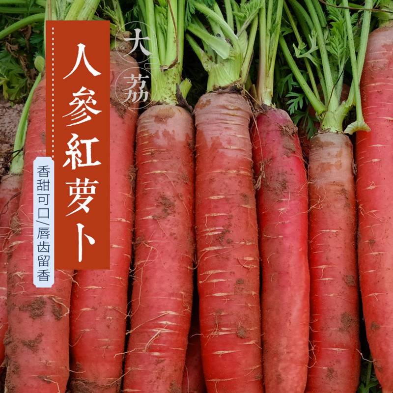 沙地水果胡萝卜【约2斤】