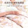 太湖雪天丝棉磨毛四件套 商品缩略图2