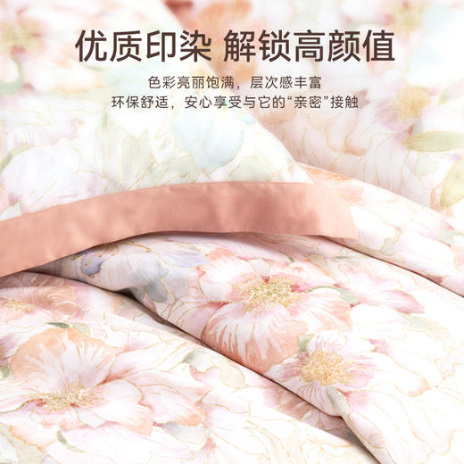 太湖雪天丝棉磨毛四件套 商品图2