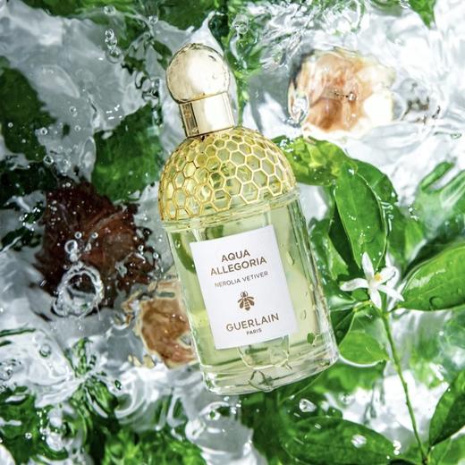 【10.13王炸割肉价】娇兰花草水语香水 橙花岩兰EDT 125ml 商品图1