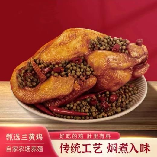 天目湖椒麻鸡600g 商品图0