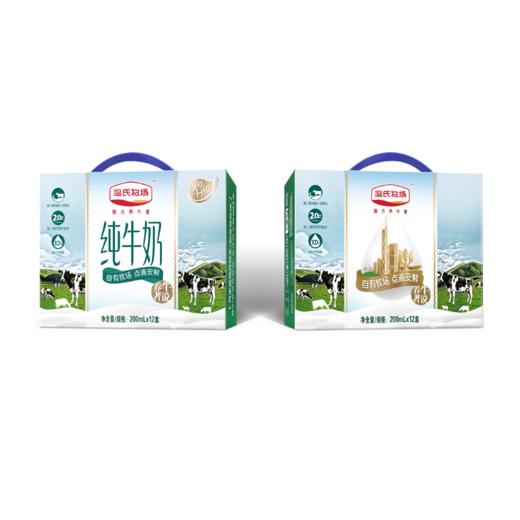 温氏丨纯牛奶200ml*12 商品图0