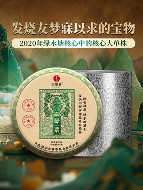 店铺鼎级藏品【禄票】2020年绿水塘核心中的的核心大单株，临沧绿水塘出道即巅峰，全球仅有四提，每提均锡罐包装