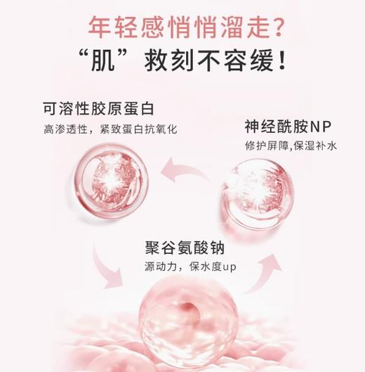 哈三联胶原蛋白修护贴5贴/盒 商品图2