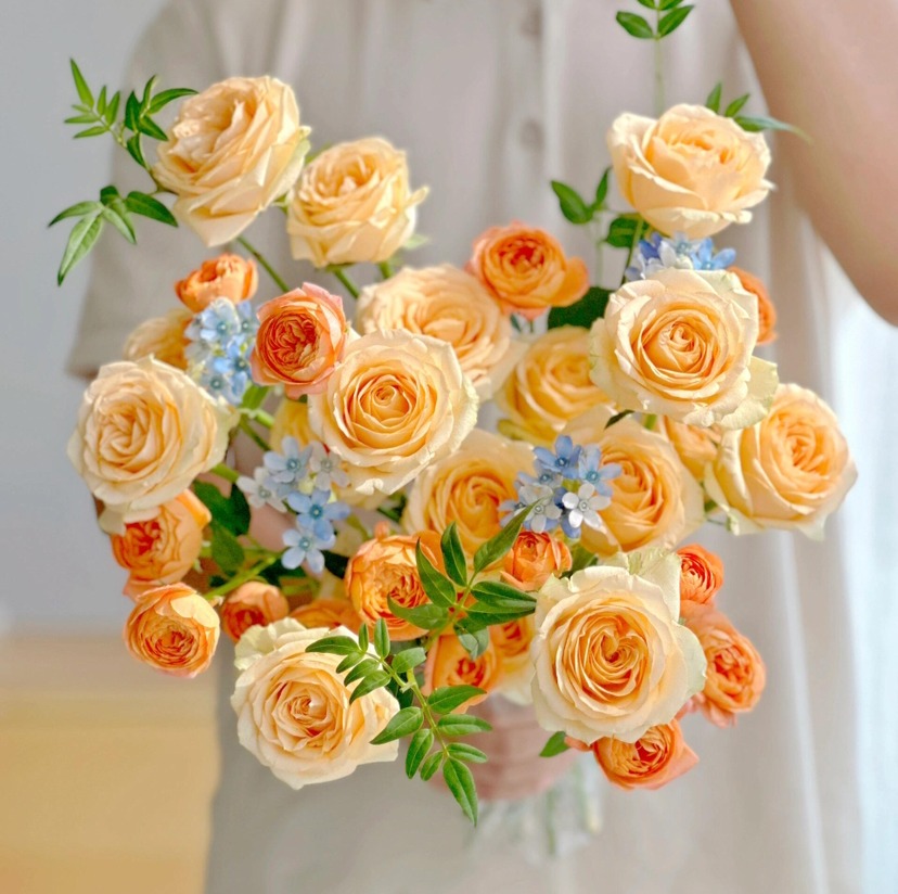 【橘子味的夏天】AB级蜜桃雪山玫瑰16支+AB级果汁阳台多头玫瑰4支+AB级蓝星花4支+九星叶2支