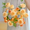 【橘子味的夏天】AB级蜜桃雪山玫瑰16支+AB级果汁阳台多头玫瑰4支+AB级蓝星花4支+九星叶2支 商品缩略图0