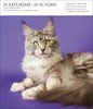 Cat Page-A-Day Gallery Calendar 2025 / 2025画廊台历：猫 商品缩略图4