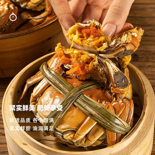 企鹅市集|江苏苏州大闸蟹家庭装 出口级别活蟹 膏润肉足 多规格可选 商品图3