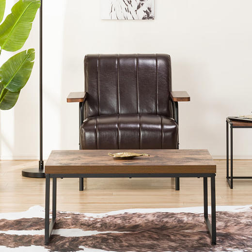 【家具】1人位沙发 斯坦恩NS 深棕 商品图1