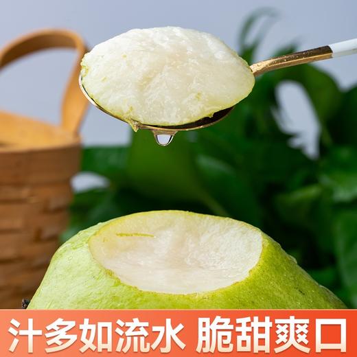 s孔雀金枝 新疆金枝玉露梨 新疆产区 脆甜多汁 果肉细腻 商品图5