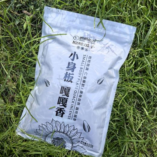 【板牙风物】鹦鹉传奇原味瓜子4袋装 | 363品种、粒粒饱满、口感醇脆、性价比高 商品图1