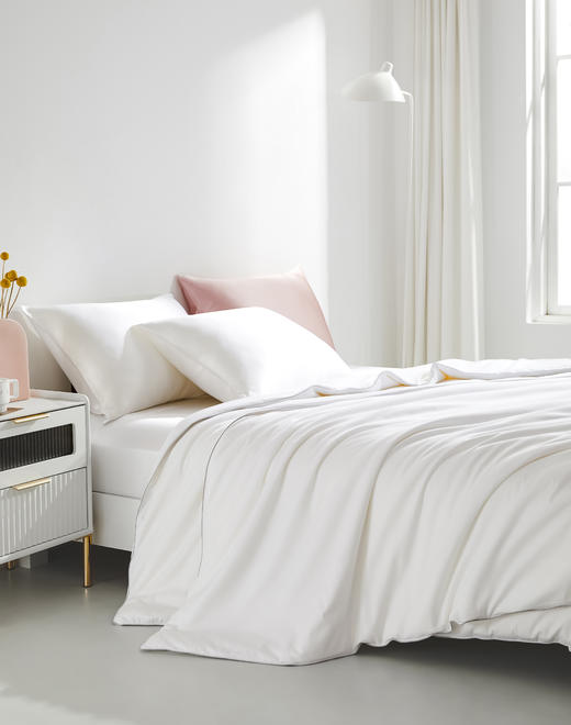 太湖雪100%桑蚕长丝被 子母被 商品图1