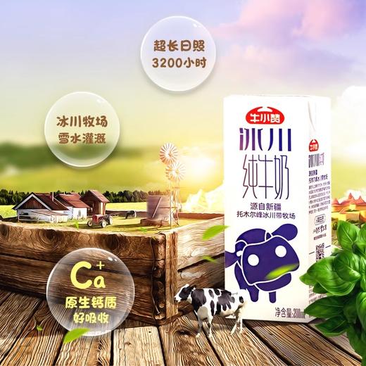 牛小赞冰川纯牛奶 商品图1