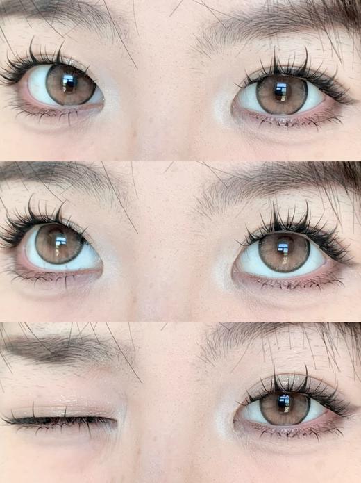 Ocean girl半年抛美瞳 饱饱泥 14.5mm 商品图0