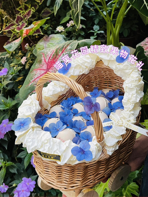 婴儿车款鸡蛋🥚蓝 商品图0