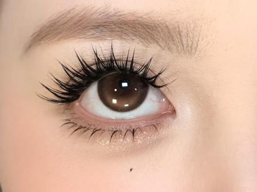 Ginomii半年抛品牌-顽皮榛果 商品图6