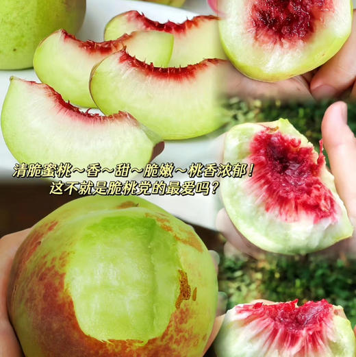 半野生崂山蜜桃，桃味浓，汁水足，个头大小不一，软硬两吃都好吃，丑甜，一份4斤 商品图1