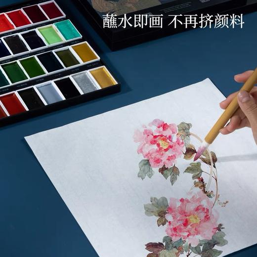 鲁本斯国画颜料 固体专业中国画矿物 笔画水墨画古彩 12色 商品图5