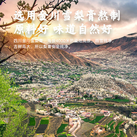 梨膏棒棒糖  9g*12支*2瓶 商品图6