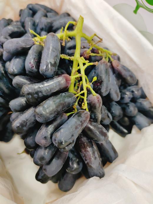 美人指葡萄一箱 商品图0