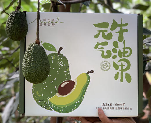 云南孟连牛油果大果6枚礼盒 商品图0