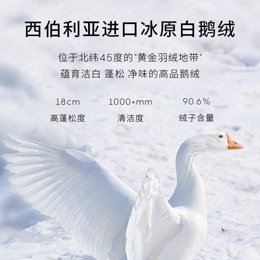 【商场同款】麦檬立领连帽90白鹅绒羽绒服5EA180351 商品图2