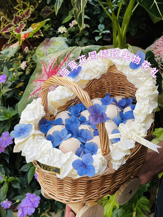 婴儿车款鸡蛋🥚蓝 商品图3