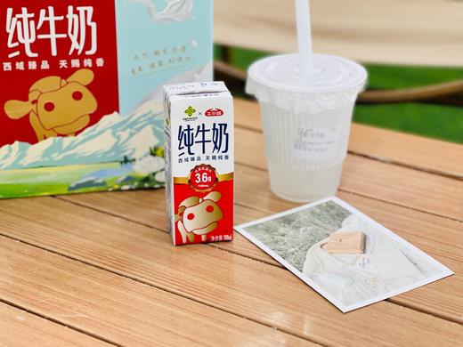 牛小赞3.6蛋白质纯牛奶（中国供销社款） 商品图14