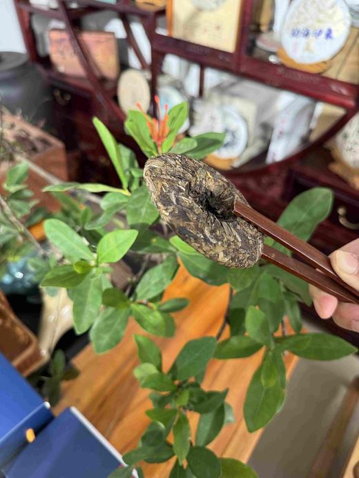 29      老白茶，2020年景迈大寨古树白茶，这个地方是云南生态最好的茶产区之一，尝鲜价8元一片，5片包邮，买十送一 商品图2